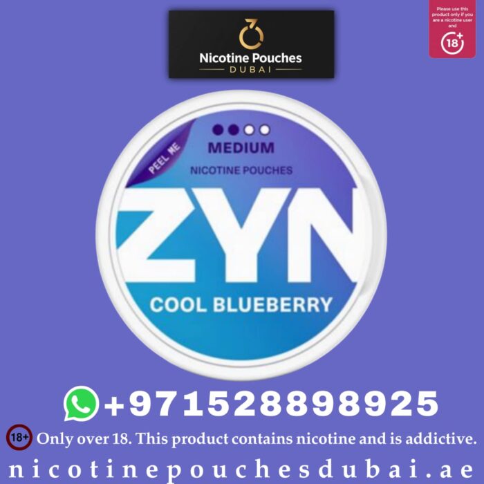 ZYN Cool Blueberry 3MG