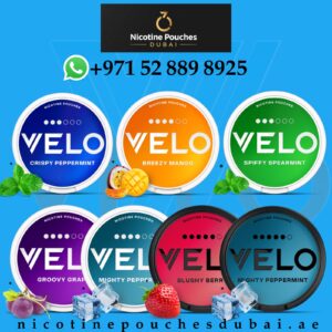 Velo Nicotine Pouches All Flavors in Dubai UAE