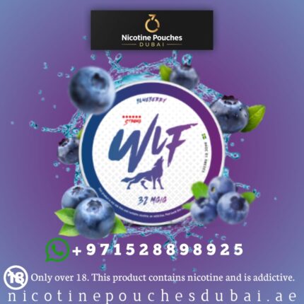 WLF Blueberry Nicotine Pouches in Dubai
